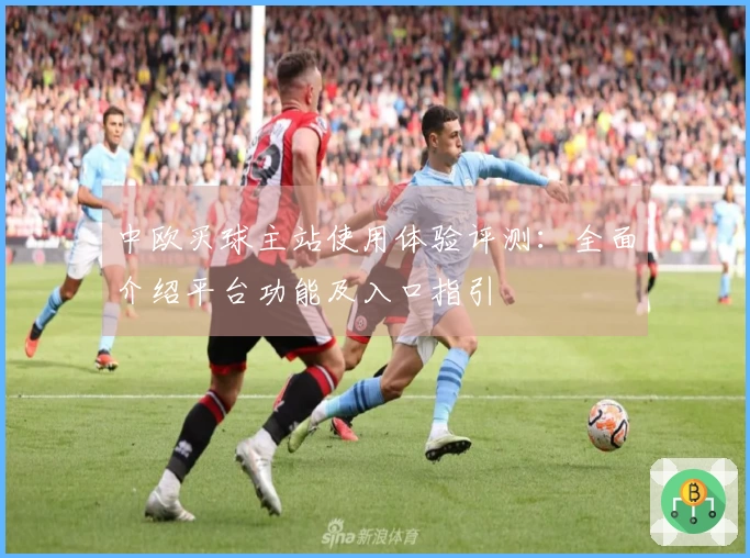 中欧买球主站使用体验评测：全面介绍平台功能及入口指引