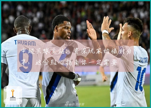 中超买球主站：资深玩家的福利分享，这份贴心指南你一定需要