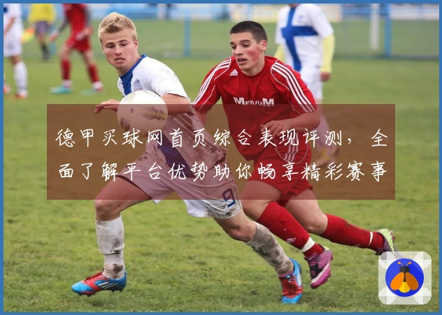 德甲买球网首页综合表现评测，全面了解平台优势助你畅享精彩赛事