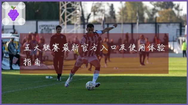 五大联赛最新官方入口及使用体验指南