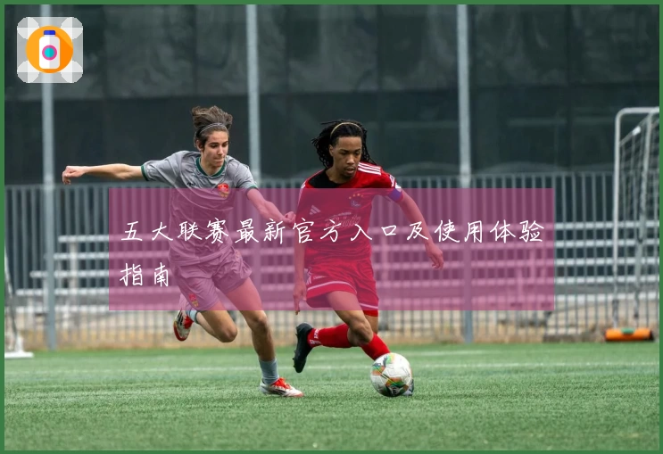 五大联赛最新官方入口及使用体验指南