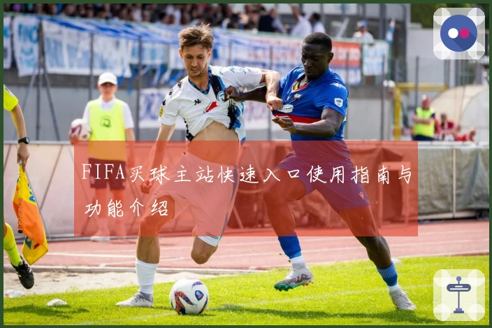 FIFA买球主站快速入口使用指南与功能介绍